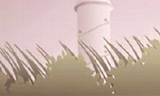 本命年如何做能为自己带来好运?