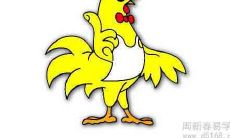 2019属鸡的今年多大 运势如何