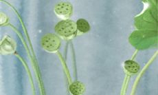 10大风水禁忌,你知道多少?