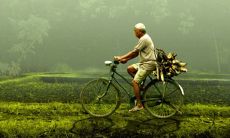 男人越看越想看的生肖女 最受喜欢的属相