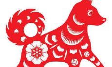 属狗女性2021年运势及运程