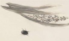 2022年农历腊月十七是开工吉日吗 黄道吉日查询