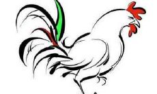 2020年属鸡的人避讳什么颜色对运势好？