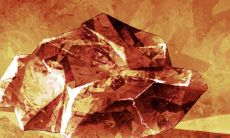 2023年农历2月出生好吗 思想行为比较保守