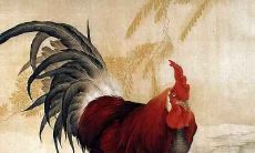 生肖鸡2021年5月桃花运详解 有新恋情吗