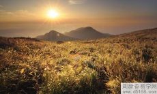 2022年5月属鸡人运程及运势详细解析