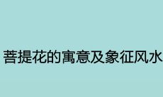 菩提花的寓意及象征风水作用
