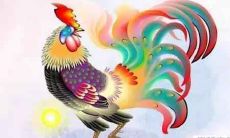 2020年属鸡的人运势怎么样？