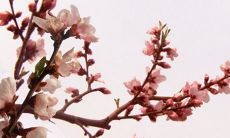 2021年11月22日开张合适吗 是不是好日子