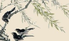 2021年11月15日开张合适吗 店铺开张合适吗