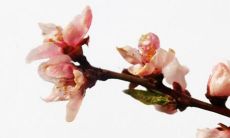 2021年11月23日宜开张开业吗 店铺开张合适吗