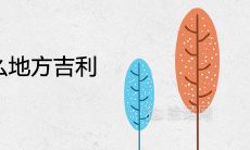 吊兰放在什么地方吉利招财旺宅