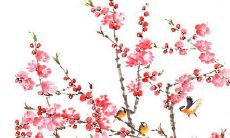 2021年11月17日店铺开张好吗 是黄道吉日吗