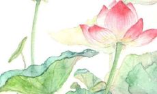 2021年阴历十月店铺开张利日一览表 这些吉日不可错过