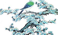 2021年11月26日开张大吉吗 是不是好日子