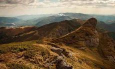 己酉鸡是哪一年属什么五行 己酉鸡出生的鸡命运好吗