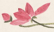 2021年11月19日开张大吉吗 店铺开张合适吗