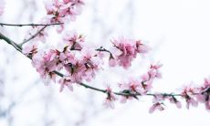 2021年11月24日店铺开张好吗 是开张吉日吗