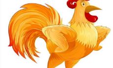 2023年生肖鸡什么方面的运势最好