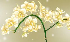 2021年11月28日是开张吉日吗 是开张吉日吗