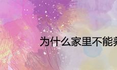 为什么家里不能养紫藤花 有哪些风水寓意