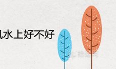 家里种银杏树风水上好不好 有哪些寓意作用