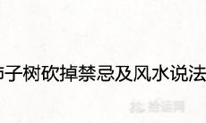 柿子树砍掉禁忌及风水说法