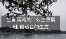 生肖属鸡做什么生意最旺 最适合的生意