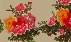 女方父母见男方父母送什么礼物好 见面礼挑选与赠送