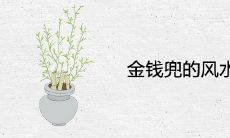 金钱兜的风水禁忌