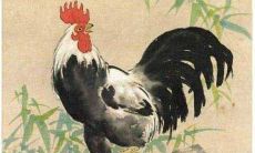 生肖鸡出生的最好月份是？最好的时辰是？