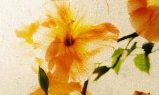 北方彩礼和南方彩礼 彩礼的意义是什么