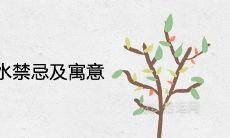 袖珍椰子风水禁忌及寓意