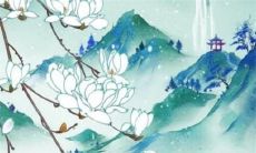 上门提亲送什么酒 根据当地习俗选择