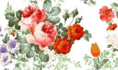 父母给女儿的嫁妆钱 嫁妆钱到底属于谁