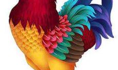 生肖属鸡男男女为什么会选择劈腿