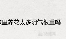 家里养花太多真的阴气很重吗 风水吉利吗