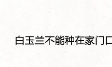 白玉兰为什么不能种在家门口 风水吉利吗