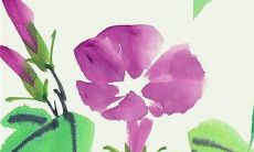 2023年正月初一出生的女宝宝命好吗 命格旺盛得到富贵