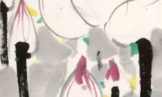 2023年1月2日出生的女孩命运如何 天纵奇才可成大器