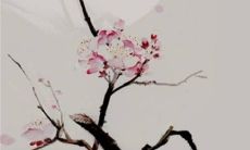 2023兔年正月初一出生的宝宝命运 得到庇佑避免奔波