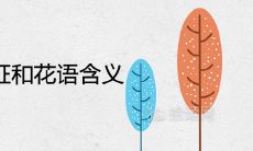 白玉兰的寓意象征和花语含义