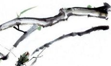 2023兔年1月2日出生的属兔男孩命好吗 运势旺盛需提防小人