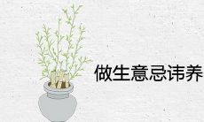 做生意忌讳养什么花风水不好