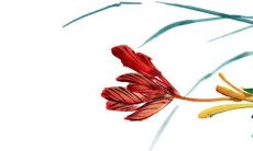 2023年1月1日元旦出生的女宝宝命运好吗 福星庇佑福至心灵