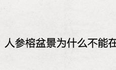 人参榕盆景为什么不能在家养 风水寓意不吉利吗