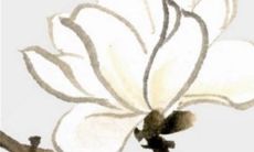 2023年正月初二出生的女孩是什么命 独立发展健康无忧