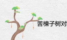 苦楝子树对风水为什么不好 有哪些象征含义