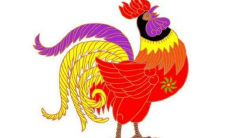 生肖鸡人能找到什么样的生肖作为伴侣