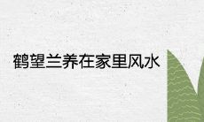鹤望兰养在家里风水吉利吗 可以旺财旺宅吗